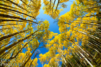 20120921-_RJV4007_Color_1500