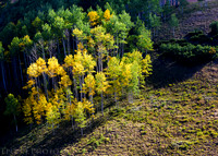 20150918-_DSC0352