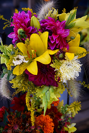 20150918-_DSC0390