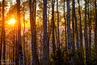 20120920-_RJV3714_Color_1500