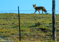 20120921-_RJV4044_Color_1500